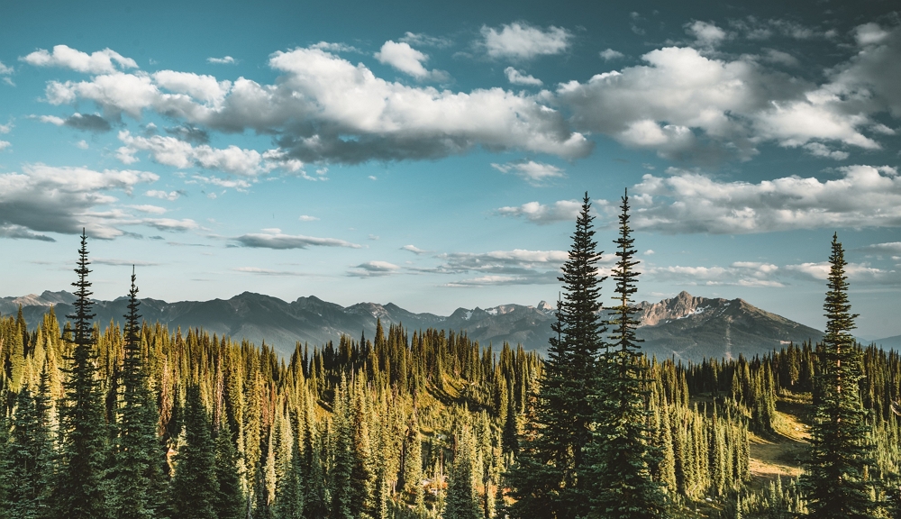 Mount Revelstoke National Park Kanada See Wälder Berge